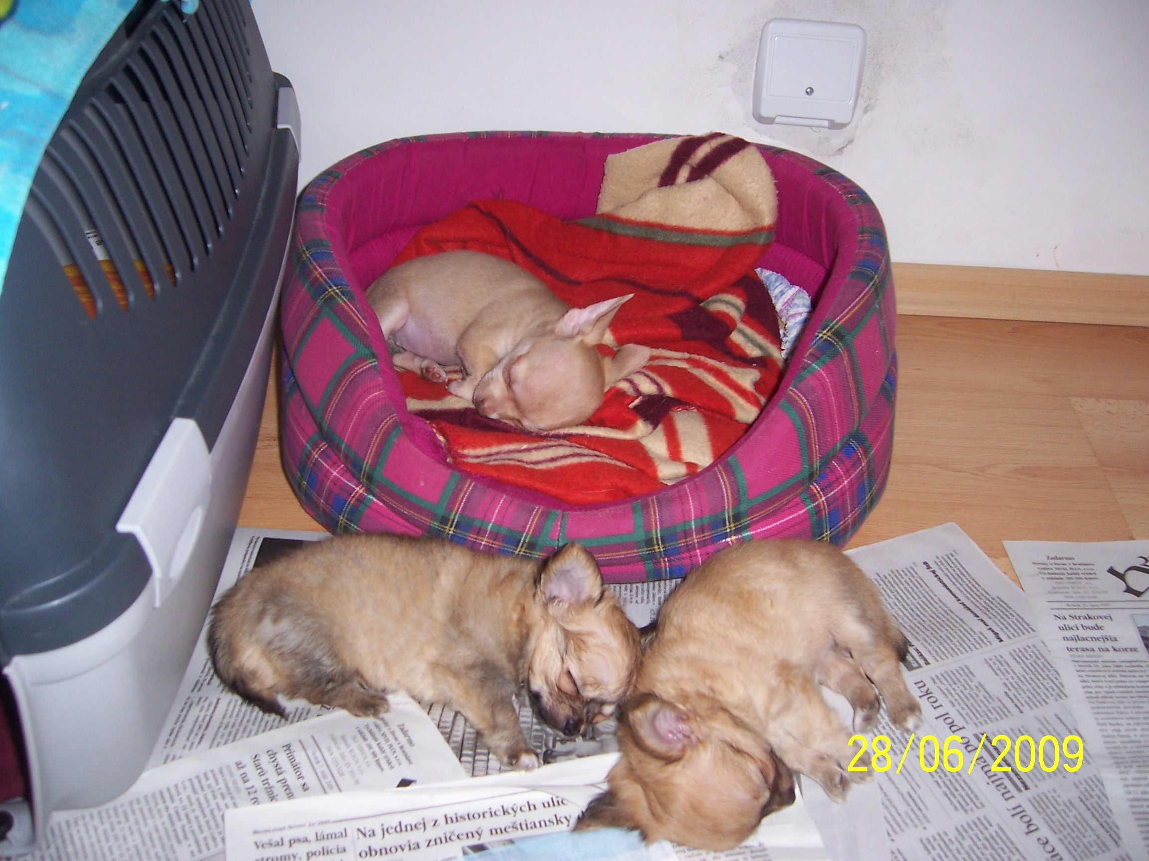 100_3123.jpg