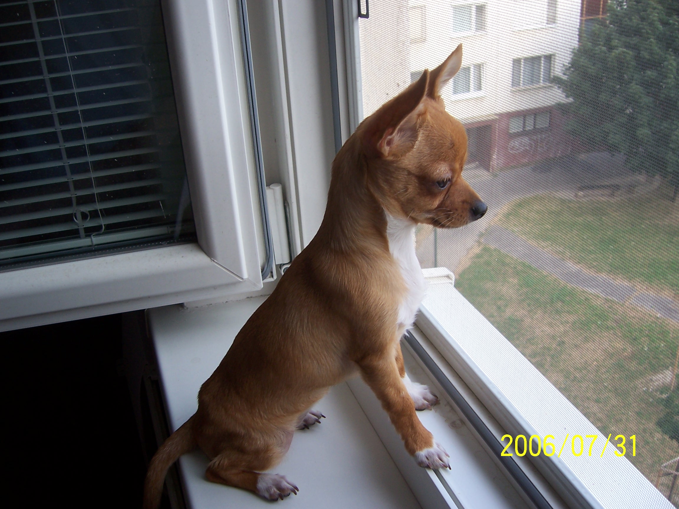 Snímek 090.jpg